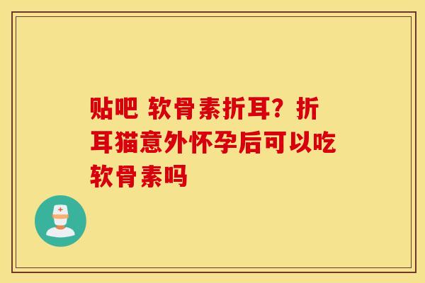 贴吧 软骨素折耳?折耳猫意外怀孕后可以吃软骨素吗 贴吧 软骨素折耳?折耳猫意外怀孕后可以吃软骨素吗