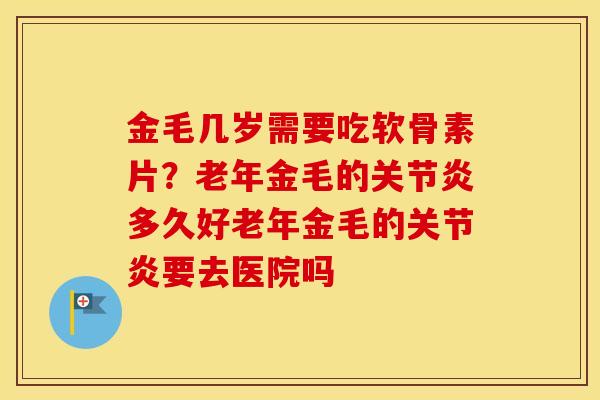 金毛几岁需要吃软骨素片？老年金毛的多久好老年金毛的要去医院吗