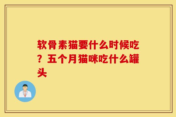 软骨素猫要什么时候吃？五个月猫咪吃什么罐头