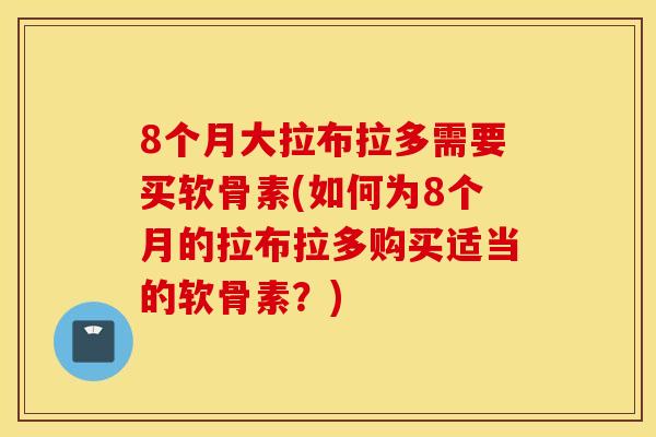 8个月大拉布拉多需要买软骨素(如何为8个月的拉布拉多购买适当的软骨素？)