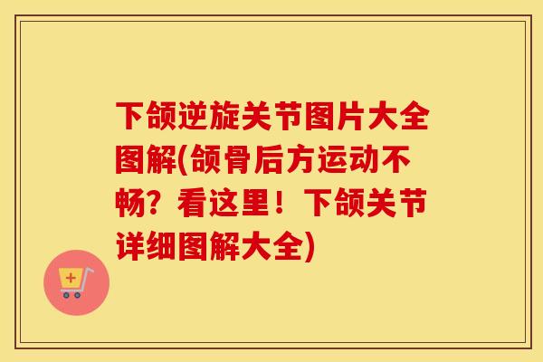 下颌逆旋关节图片大全图解(颌骨后方运动不畅？看这里！下颌关节详细图解大全)