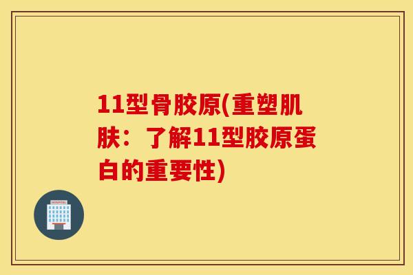 11型骨胶原(重塑：了解11型胶原蛋白的重要性)