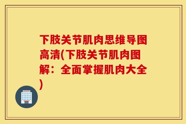 下肢关节肌肉思维导图高清(下肢关节肌肉图解：全面掌握肌肉大全)