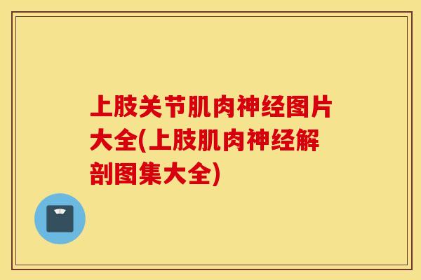 上肢关节肌肉图片大全(上肢肌肉解剖图集大全) 上肢关节肌肉图片大全(上肢肌肉解剖图集大全)