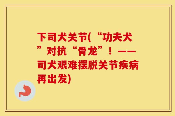 下司犬关节(“功夫犬”对抗“骨龙”!——司犬艰难摆脱关节再出发) 下司犬关节(“功夫犬”对抗“骨龙”!——司犬艰难摆脱关节再出发)