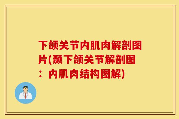 下颌关节内肌肉解剖图片(颞下颌关节解剖图:内肌肉结构图解) 下颌关节内肌肉解剖图片(颞下颌关节解剖图:内肌肉结构图解)