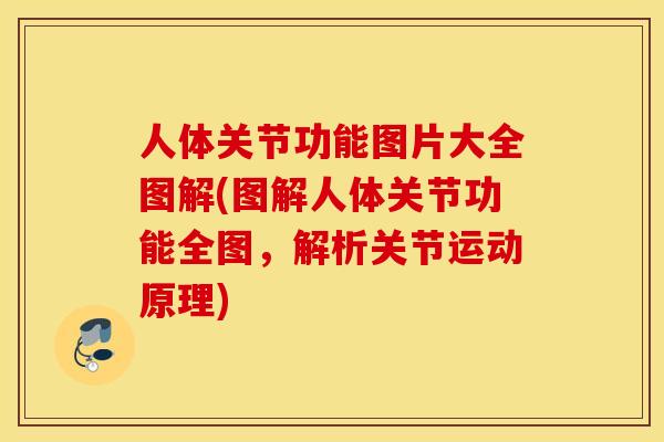 人体关节功能图片大全图解(图解人体关节功能全图，解析关节运动原理)