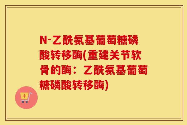 N-乙酰氨基葡萄糖磷酸转移酶(重建关节软骨的酶:乙酰氨基葡萄糖磷酸转移酶) N-乙酰氨基葡萄糖磷酸转移酶(重建关节软骨的酶:乙酰氨基葡萄糖磷酸转移酶)