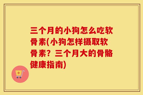 三个月的小狗怎么吃软骨素(小狗怎样摄取软骨素？三个月大的骨骼健康指南)