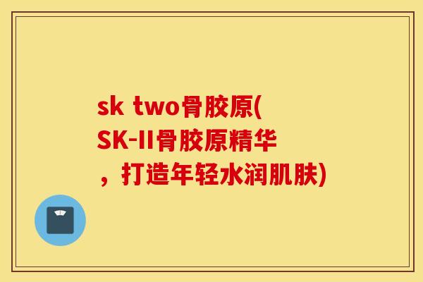 sk two骨胶原(SK-II骨胶原精华，打造年轻水润)