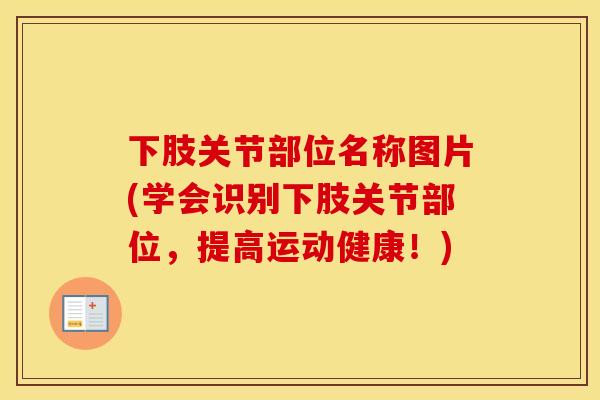 下肢关节部位名称图片(学会识别下肢关节部位，提高运动健康！)