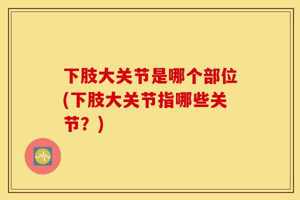 下肢大关节是哪个部位(下肢大关节指哪些关节？)