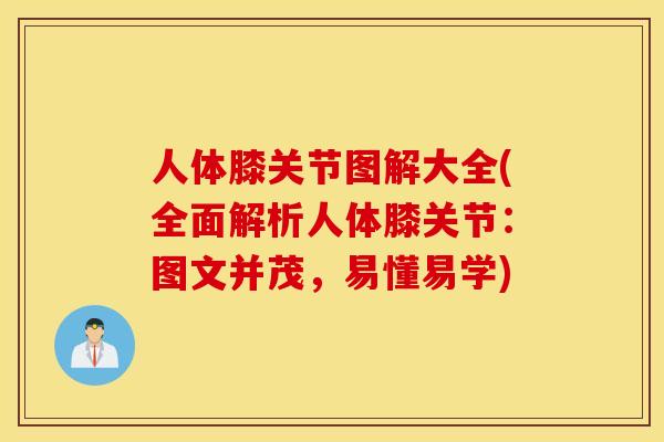 人体膝关节图解大全(全面解析人体膝关节:图文并茂,易懂易学) 人体膝关节图解大全(全面解析人体膝关节:图文并茂,易懂易学)