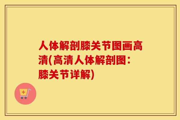 人体解剖膝关节图画高清(高清人体解剖图：膝关节详解)