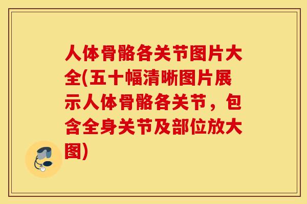 人体骨骼各关节图片大全(五十幅清晰图片展示人体骨骼各关节,包含全身关节及部位放大图) 人体骨骼各关节图片大全(五十幅清晰图片展示人体骨骼各关节,包含全身关节及部位放大图)