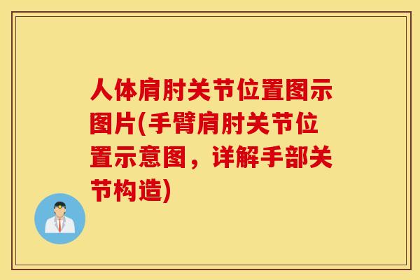 人体肩肘关节位置图示图片(手臂肩肘关节位置示意图,详解手部关节构造) 人体肩肘关节位置图示图片(手臂肩肘关节位置示意图,详解手部关节构造)