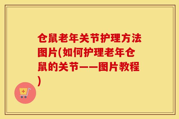 仓鼠老年关节护理方法图片(如何护理老年仓鼠的关节——图片教程)