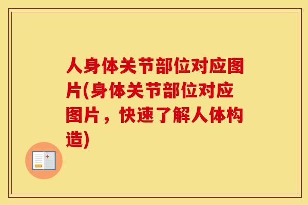 人身体关节部位对应图片(身体关节部位对应图片，快速了解人体构造)