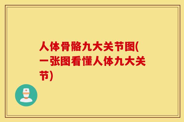 人体骨骼九大关节图(一张图看懂人体九大关节) 人体骨骼九大关节图(一张图看懂人体九大关节)