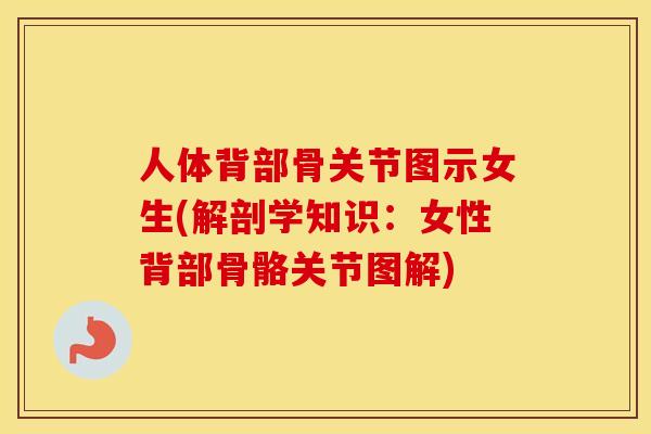人体背部骨关节图示女生(解剖学知识:女性背部骨骼关节图解) 人体背部骨关节图示女生(解剖学知识:女性背部骨骼关节图解)