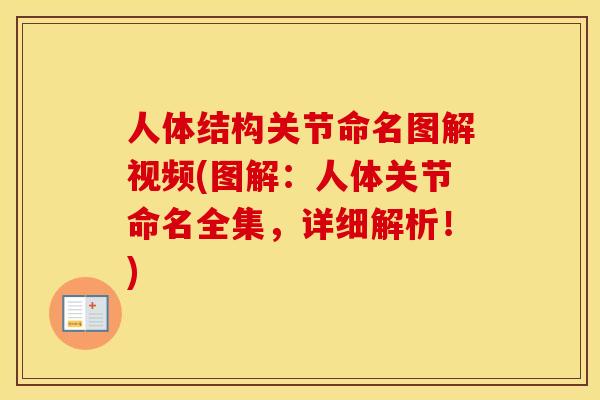 人体结构关节命名图解视频(图解:人体关节命名全集,详细解析!) 人体结构关节命名图解视频(图解:人体关节命名全集,详细解析!)