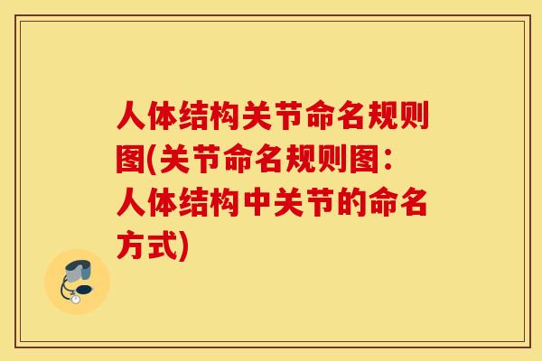 人体结构关节命名规则图(关节命名规则图:人体结构中关节的命名方式) 人体结构关节命名规则图(关节命名规则图:人体结构中关节的命名方式)