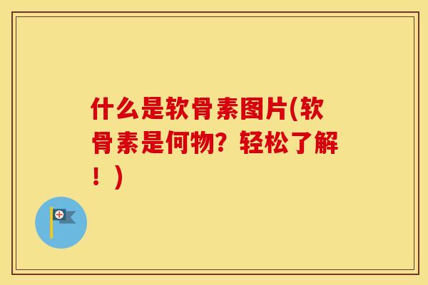 什么是软骨素图片(软骨素是何物?轻松了解!) 什么是软骨素图片(软骨素是何物?轻松了解!)