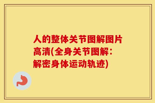 人的整体关节图解图片高清(全身关节图解:解密身体运动轨迹) 人的整体关节图解图片高清(全身关节图解:解密身体运动轨迹)