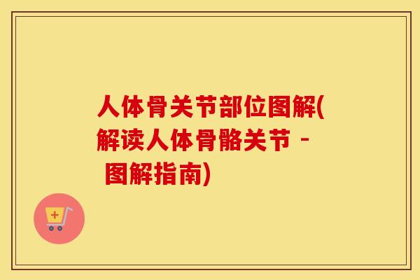人体骨关节部位图解(解读人体骨骼关节 - 图解指南) 人体骨关节部位图解(解读人体骨骼关节 - 图解指南)