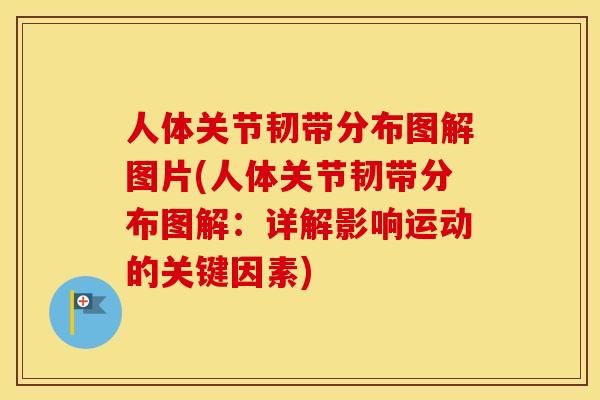 人体关节韧带分布图解图片(人体关节韧带分布图解:详解影响运动的关键因素) 人体关节韧带分布图解图片(人体关节韧带分布图解:详解影响运动的关键因素)