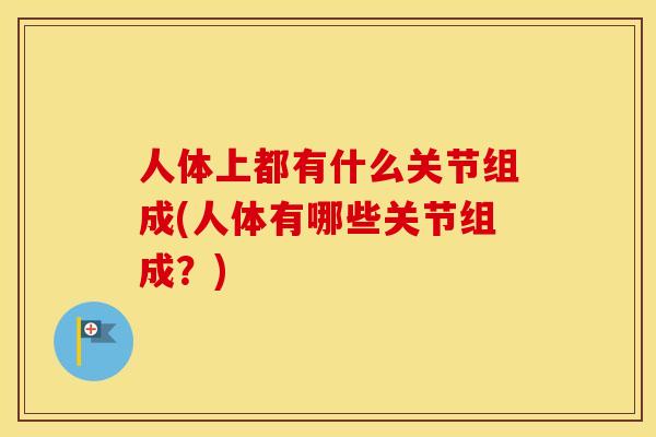 人体上都有什么关节组成(人体有哪些关节组成？)