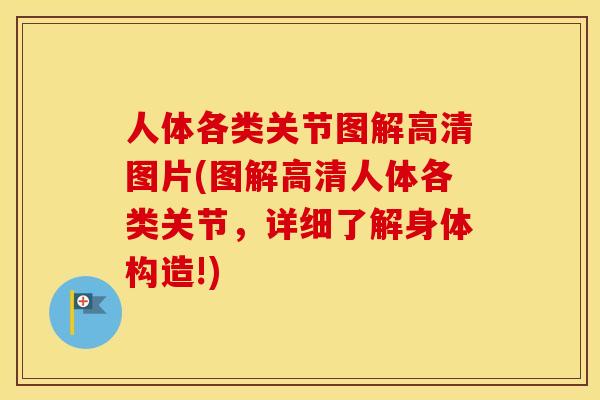 人体各类关节图解高清图片(图解高清人体各类关节,详细了解身体构造!) 人体各类关节图解高清图片(图解高清人体各类关节,详细了解身体构造!)