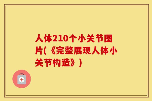 人体210个小关节图片(《完整展现人体小关节构造》)