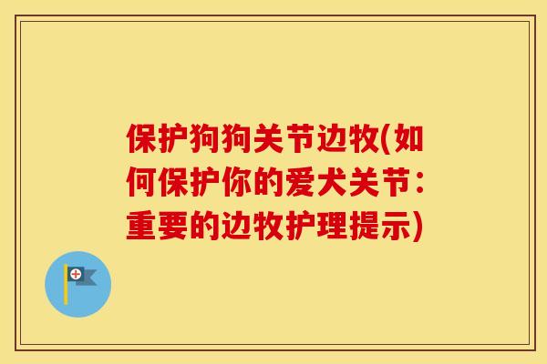 保护狗狗关节边牧(如何保护你的爱犬关节：重要的边牧护理提示)