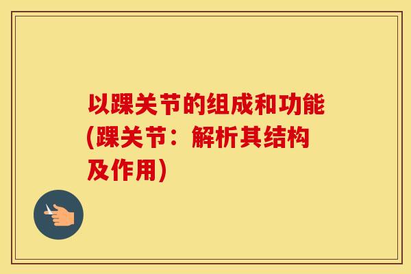以踝关节的组成和功能(踝关节：解析其结构及作用)