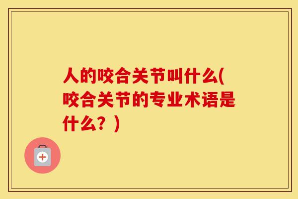 人的咬合关节叫什么(咬合关节的专业术语是什么?) 人的咬合关节叫什么(咬合关节的专业术语是什么?)