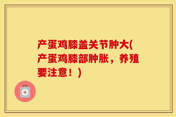 产蛋鸡膝盖关节肿大(产蛋鸡膝部，养殖要注意！)