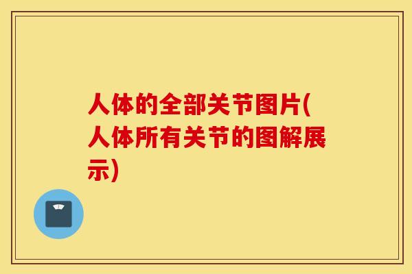 人体的全部关节图片(人体所有关节的图解展示)