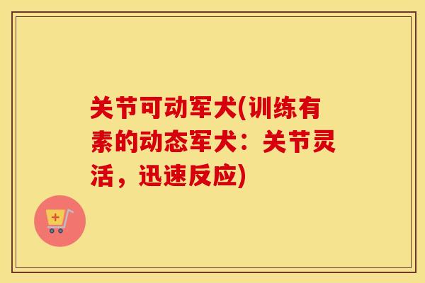 关节可动军犬(训练有素的动态军犬:关节灵活,迅速反应) 关节可动军犬(训练有素的动态军犬:关节灵活,迅速反应)
