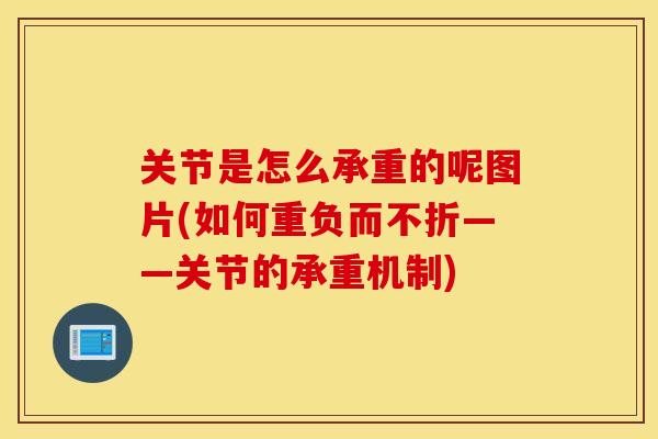 关节是怎么承重的呢图片(如何重负而不折——关节的承重机制) 关节是怎么承重的呢图片(如何重负而不折——关节的承重机制)