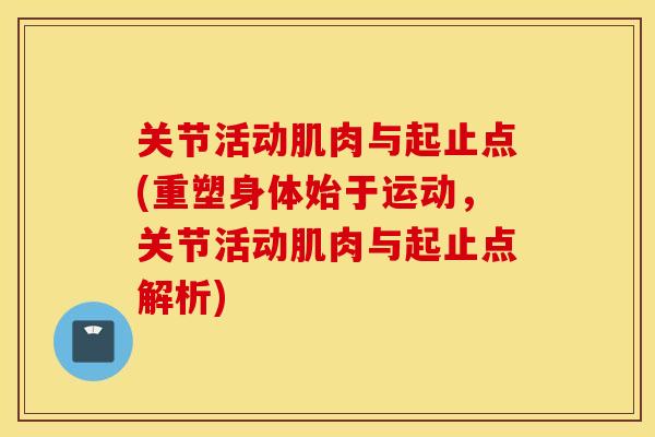 关节活动肌肉与起止点(重塑身体始于运动,关节活动肌肉与起止点解析) 关节活动肌肉与起止点(重塑身体始于运动,关节活动肌肉与起止点解析)