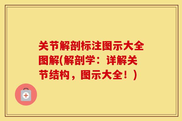 关节解剖标注图示大全图解(解剖学：详解关节结构，图示大全！)