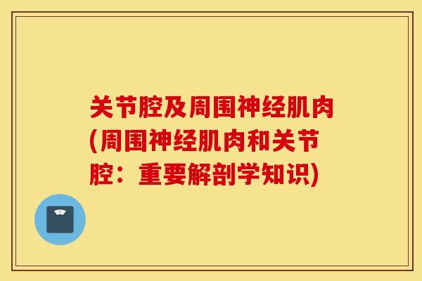 关节腔及周围肌肉(周围肌肉和关节腔:重要解剖学知识) 关节腔及周围肌肉(周围肌肉和关节腔:重要解剖学知识)