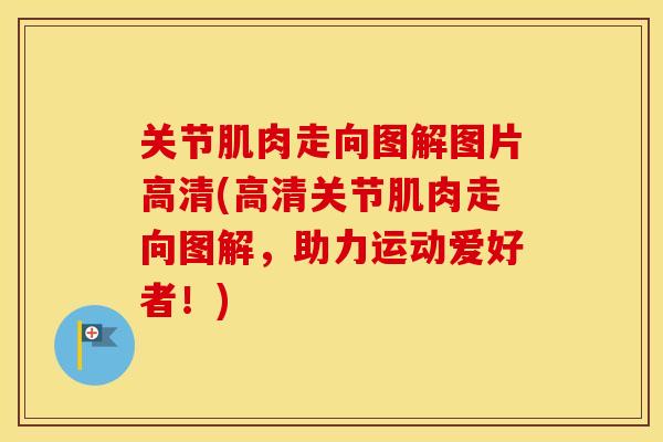 关节肌肉走向图解图片高清(高清关节肌肉走向图解,助力运动爱好者!) 关节肌肉走向图解图片高清(高清关节肌肉走向图解,助力运动爱好者!)