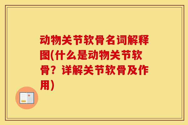 动物关节软骨名词解释图(什么是动物关节软骨?详解关节软骨及作用) 动物关节软骨名词解释图(什么是动物关节软骨?详解关节软骨及作用)