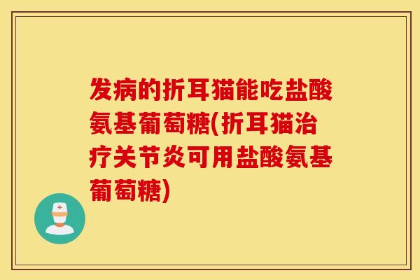 发的折耳猫能吃盐酸氨基葡萄糖(折耳猫可用盐酸氨基葡萄糖) 发的折耳猫能吃盐酸氨基葡萄糖(折耳猫可用盐酸氨基葡萄糖)