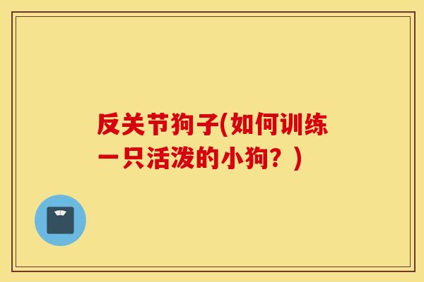 反关节狗子(如何训练一只活泼的小狗?) 反关节狗子(如何训练一只活泼的小狗?)