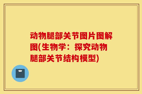动物腿部关节图片图解图(生物学：探究动物腿部关节结构模型)