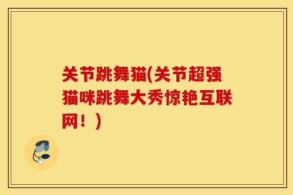 关节跳舞猫(关节超强猫咪跳舞大秀惊艳互联网!) 关节跳舞猫(关节超强猫咪跳舞大秀惊艳互联网!)