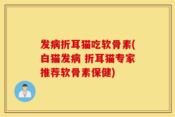 发折耳猫吃软骨素(白猫发 折耳猫专家推荐软骨素保健)